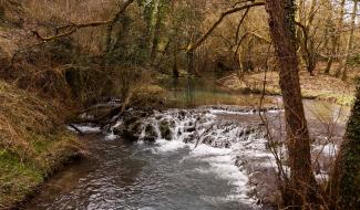 Journée mondiale de l'eau : découverte des mystères du Triffoy