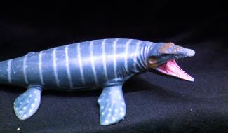 "Les dents de la Meuse" devant l'aquarium-museum