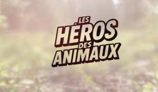 Les héros des animaux