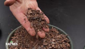 Les secrets des fertilisants