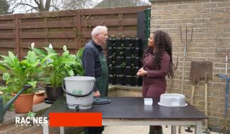 Le bokashi, quand les déchets de cuisine deviennent ressources fertiles