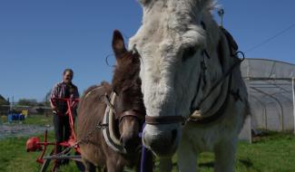 Le Bon Moment by Be Planet : cultiver l'espoir au Maraichage club de Juprelle