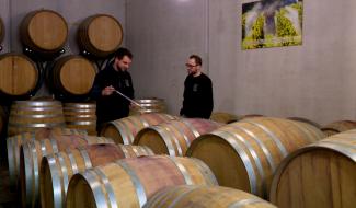 Les viticulteurs espèrent une meilleure saison