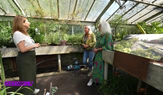 CultureL avec Marianne Grooteclaes aux serres du jardin botanique