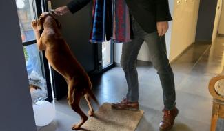 Trucs de Wouf: L'accueil des invités