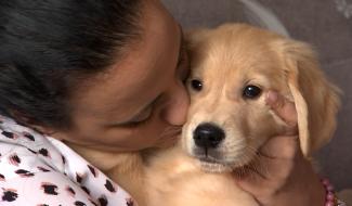 Trucs de Wouf: accueillir son chiot