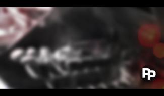 Amuse bouche et desserts au barbecue