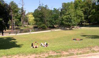 C'est l'été: conseils pour éviter les coups de chaud