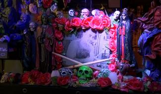 7 groupes de la région à l'affiche du Herpès Festival le 21 juin