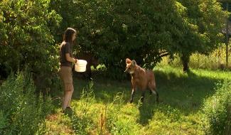 Métier passion : soigneuse dans un parc animalier