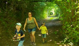 Enigm'Ha : balade magique à Hamoir