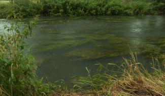 Le niveau du Geer anormalement haut inquiète les riverains