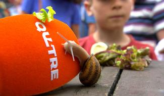 Les escargots font le show pour la fête nationale