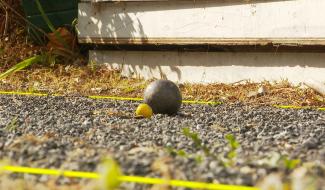Pétanque : le plus gros tournoi tête-à-tête 4 boules de Belgique est à Huy !