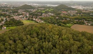 Festival de promenade : petite balade d'un jour ou Grand tour de Liège