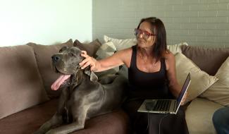 Voyager avec un chien XXL, c'est possible!