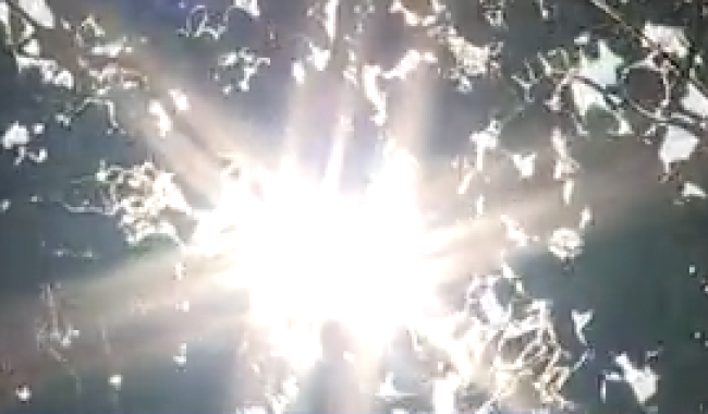 Météo : temps variable, jusqu'à 22 °C ce mardi, averses possibles au sud ce soir