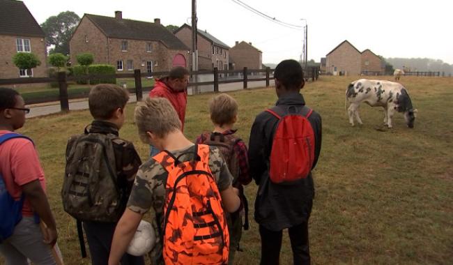 Le golf champêtre ou agrogolf : une activité à découvrir à Faimes!
