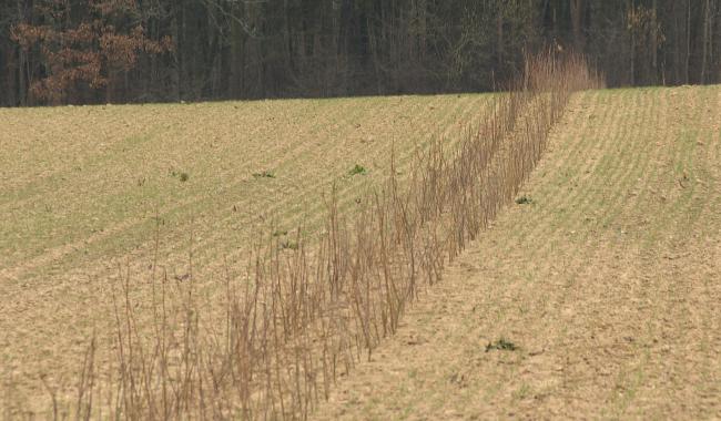 Eau potable : mesures agricoles pour protéger les captages