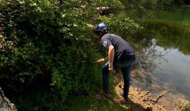 A la recherche d'un caïman au lac de la Gravière Brock