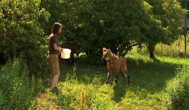 Métier passion : soigneuse dans un parc animalier