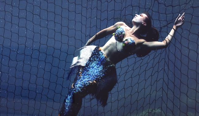 "Plastic Sushi" de Harry Fayt à la Buronzu Gallery