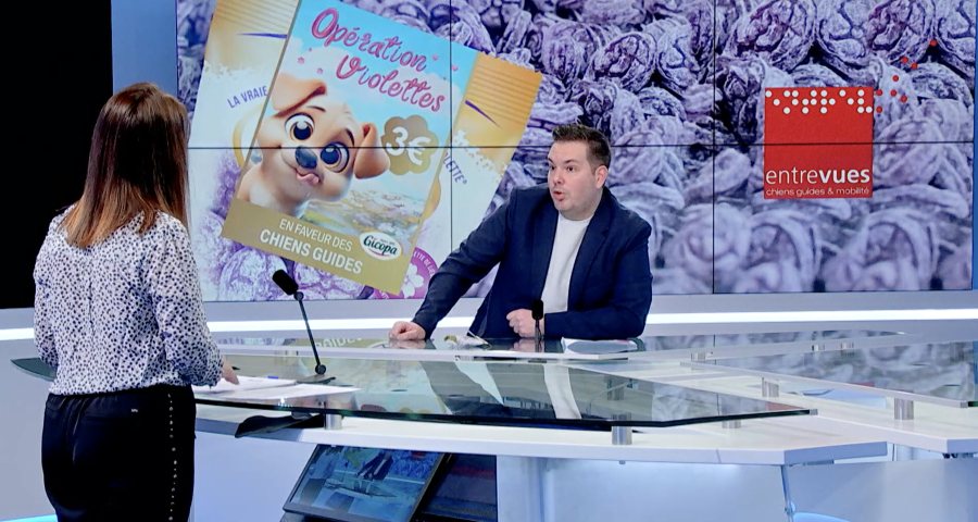 Invité: Entrevues pour l'opération violettes
