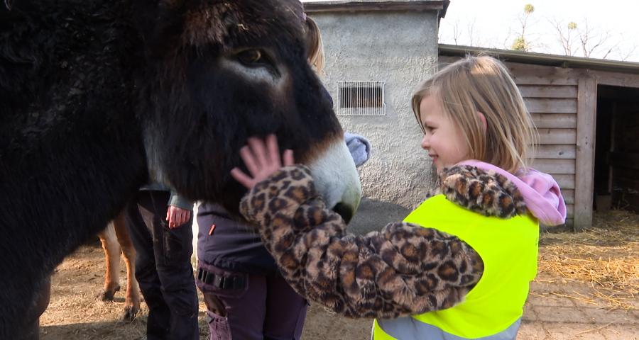 Stage à La Ferme des Enfants