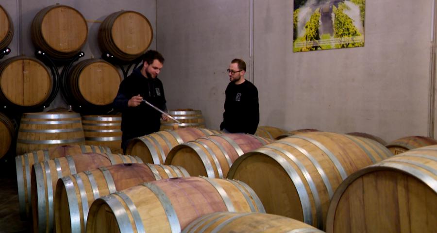 Les viticulteurs espèrent une meilleure saison