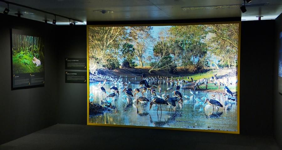 Exposition National Geographic à Liège-Guillemins