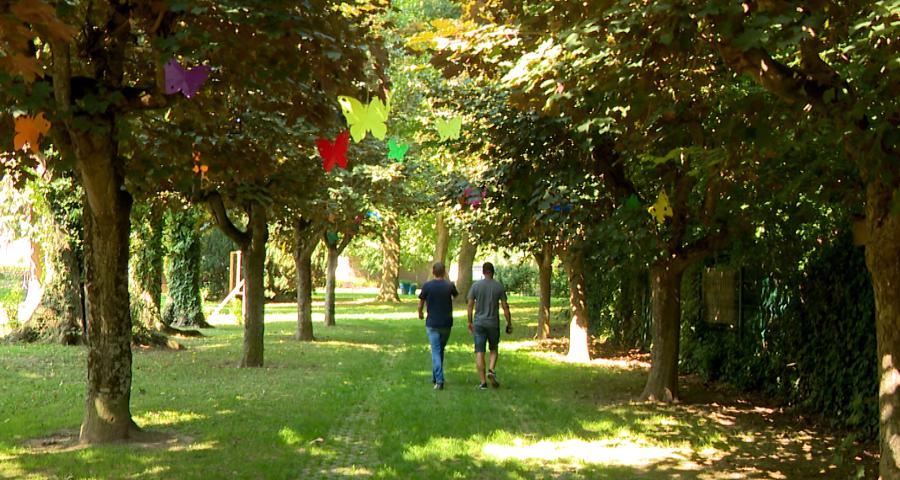 500 papillons dans les rues de Hannut
