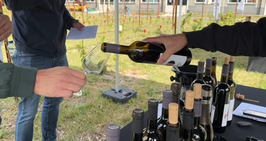 Le vin liégeois de plus en plus sur nos tables