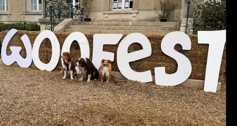 Le Woofest