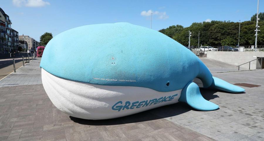 Une baleine bleue de Greenpeace débarque à Liège ce vendredi