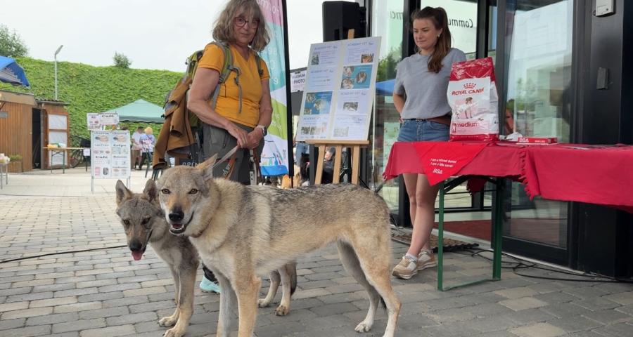 Grand succès pour la 2e édition du Dog Day de Crisnée