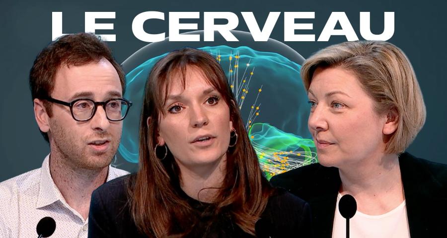 Dans les secrets du cerveau humain