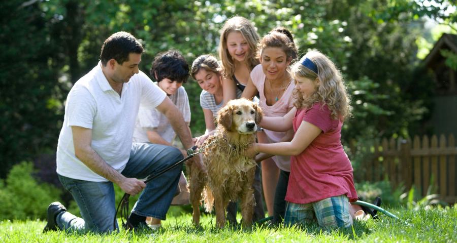 Les noms de familles les plus présents en Belgique et dans notre province