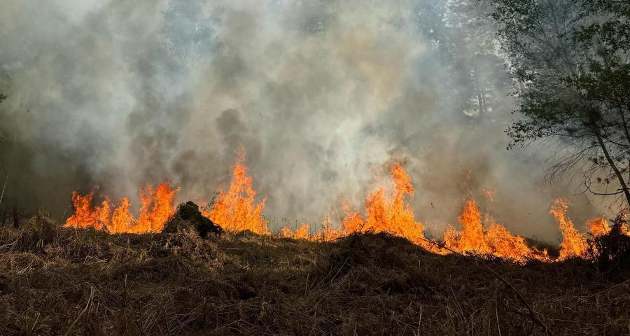 Province : interdiction de feux, barbecues et feux d'artifices