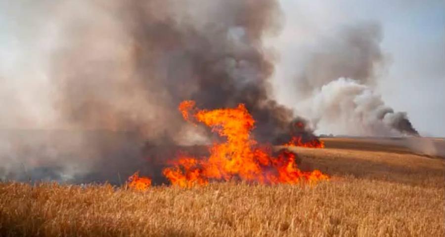 Crisnée : incendie dans les campagnes