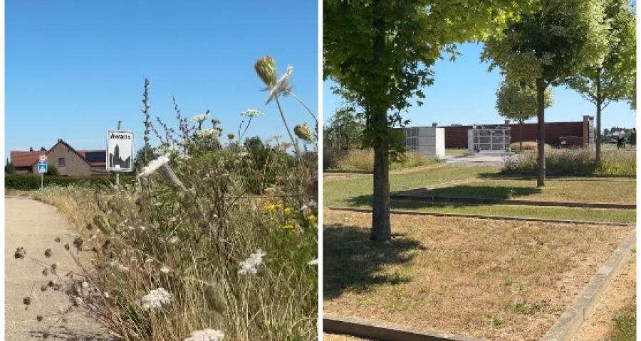 Comment les communes repensent les espaces verts face au changement climatique