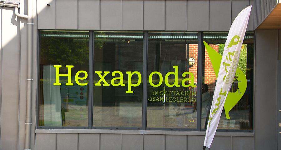 Nouvelles expériences immersives à Hexapoda