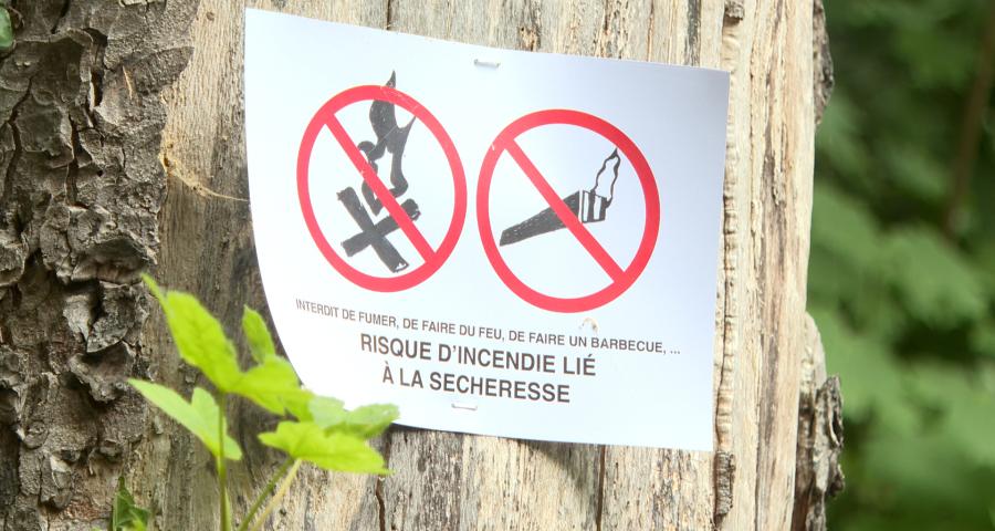 Incendies dans les coteaux : Des mesures de sécurité seront prises rapidement