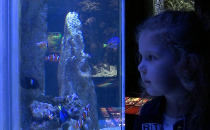 Météo changeante, bilan heureux pour l'Aquarium de Liège
