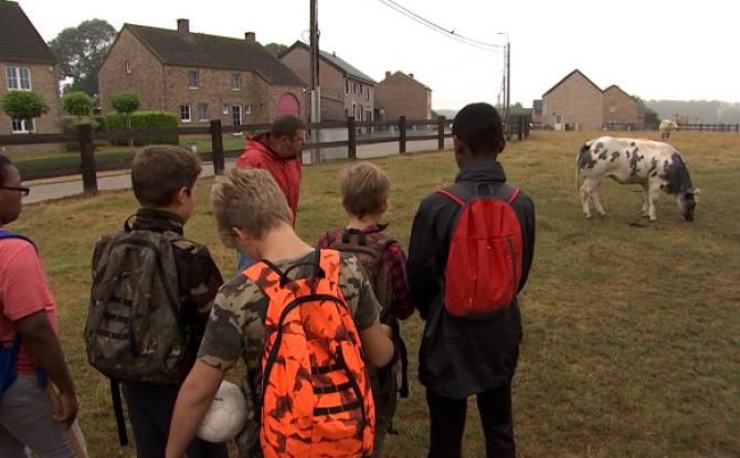 Le golf champêtre ou agrogolf : une activité à découvrir à Faimes!