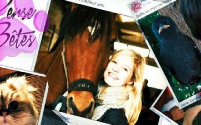 Pense bêtes