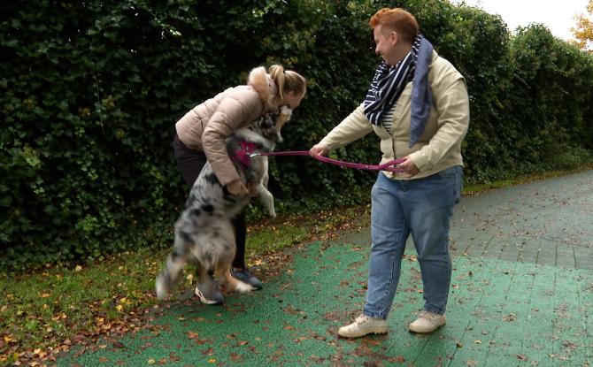 Trucs de wouf : gestion des émotions positives