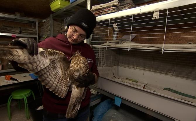 Soulagement pour les CREAVES de Wallonie