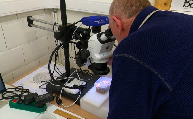 Appel aux archéologues amateurs