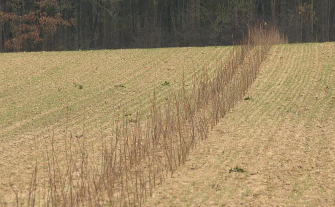 Eau potable : mesures agricoles pour protéger les captages