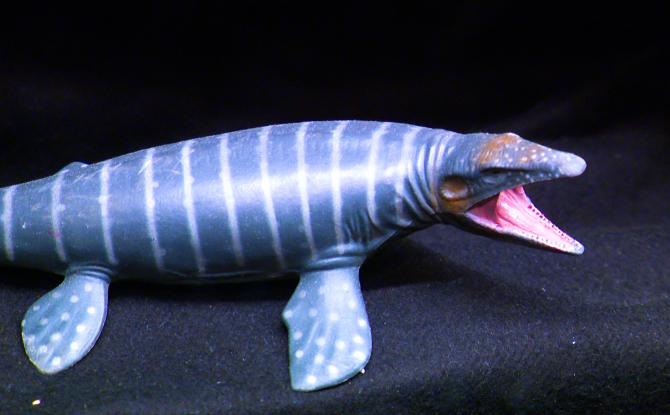 "Les dents de la Meuse" devant l'aquarium-museum